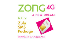 Daily Zulu SMS Package